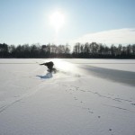 ice boarding